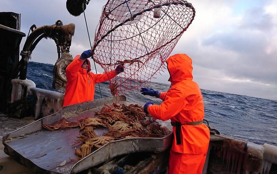 kinarca_NAVIRES DE PECHE AUX CRABES