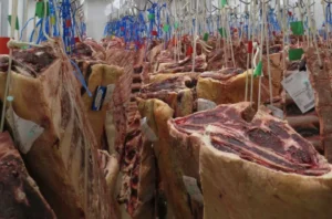 Industria cárnica - Frío industrial - Kinarca