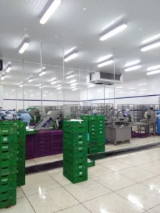 Industria transformadora pesquera - frío industrial - kinarca